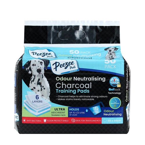 clean up pet stain and odour