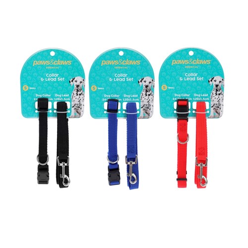 ESSENTIALS COLLAR & LEAD SET