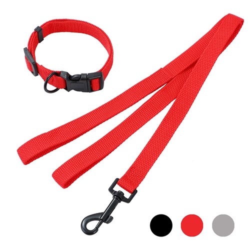 ESSENTIALS DOG COLLAR & LEAD