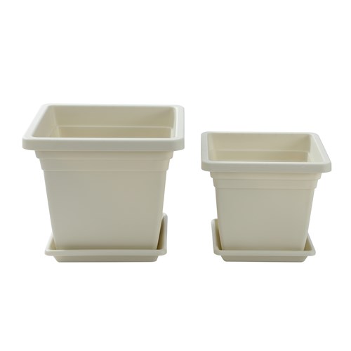 49621&&49638_group_3