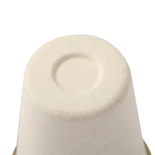 ECO SUGARCANE CUP 12PK 250ML