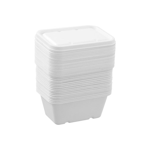 ECO SUGARCANE FOOD CONTAINER