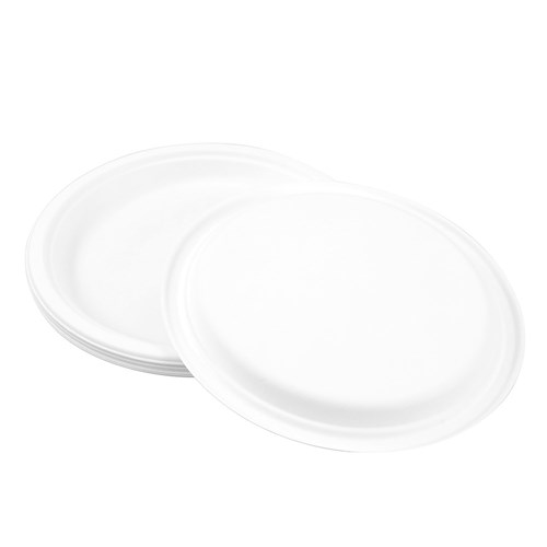 ECO SUGARCANE DINNER PLATE