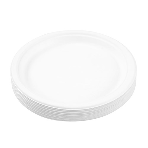 ECO SUGARCANE DINNER PLATE