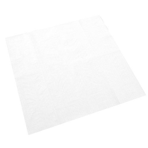 DINNER NAPKIN 2PLY