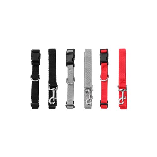 ESSENTIALS COLLAR & LEAD SET