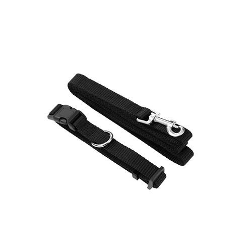 ESSENTIALS COLLAR & LEAD SET