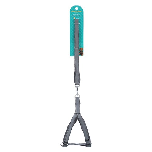 REFLECTIVE LEAD & HARNESS