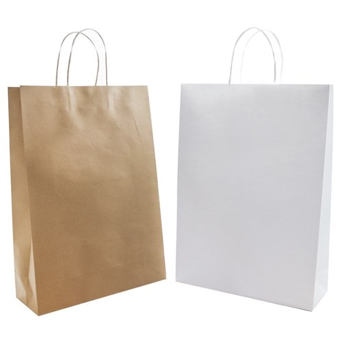 GIFT BAG PAPER 2PK