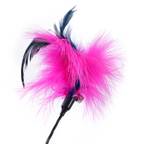 POUNCE SPRINGING FEATHER CAT