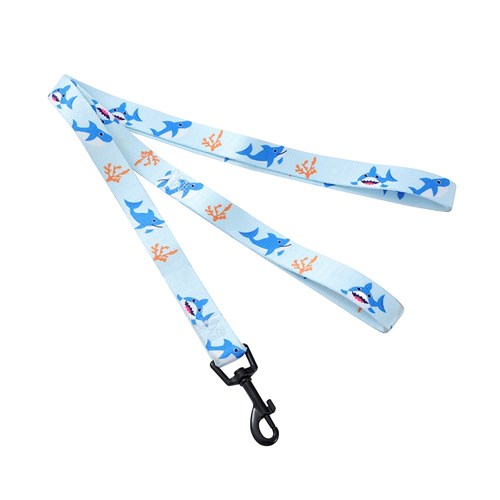 PARK LIFE 4 COLLAR + LEAD SET