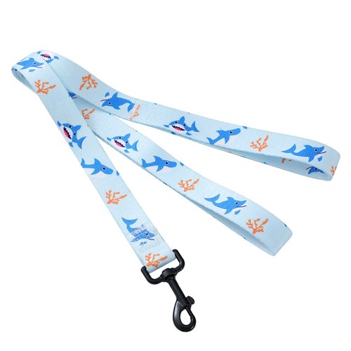 PARK LIFE 4 COLLAR + LEAD SET