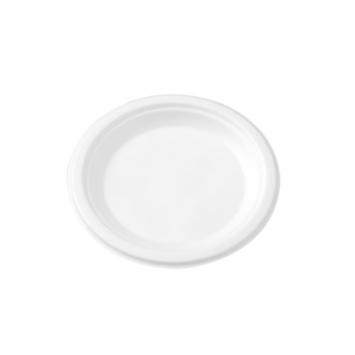 ECO SUGARCANE SIDE PLATE