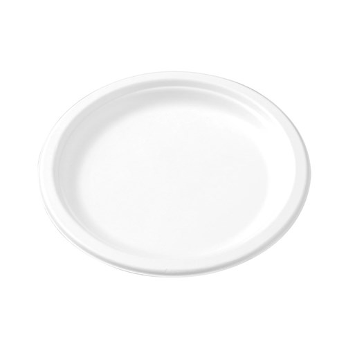 ECO SUGARCANE DINNER PLATE