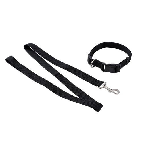 ESSENTIALS COLLAR & LEAD SET