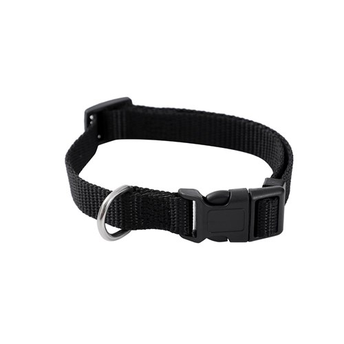 ESSENTIALS COLLAR & LEAD SET