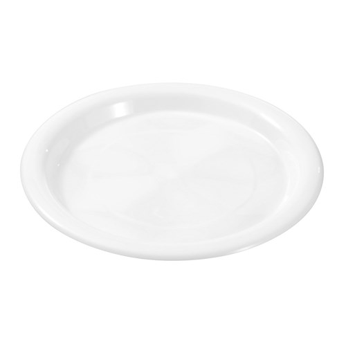 REUSABLE PLASTIC DINNER PLATE