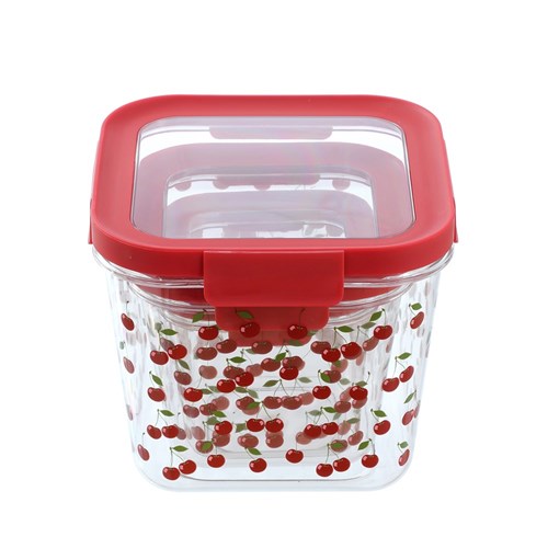 FOOD CONTAINER 3 SET PRINTED