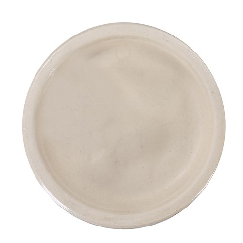 ECO SUGARCANE SIDE PLATE