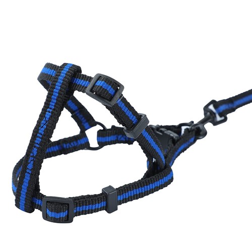 STRETCHY LEAD & HARNESS